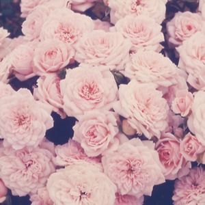 Meet your Posher, Claire